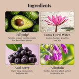 Detox Bio Cellulose Mask